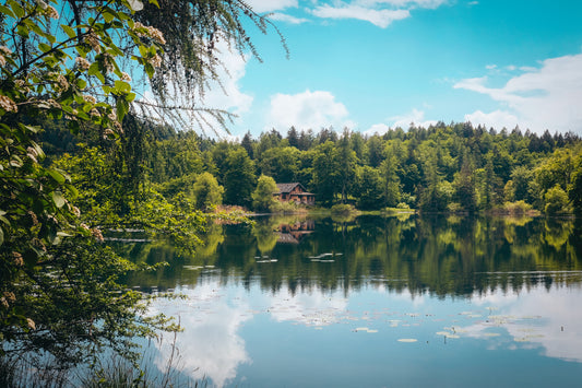 Embrace Tranquility: Scandinavian Summer Homes and Interior Design