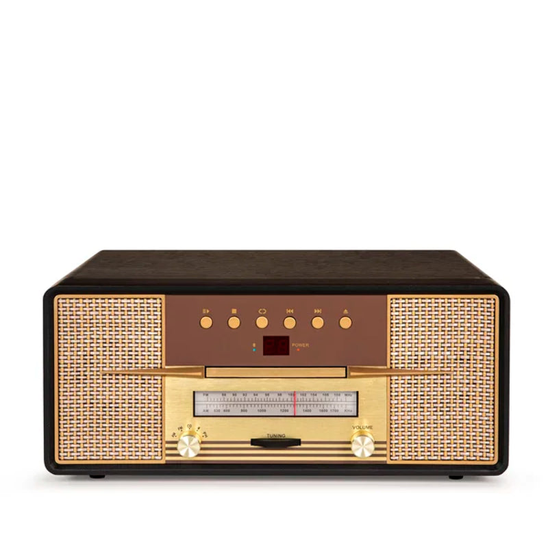 Rhapsody Decorative Record Player