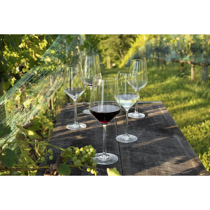 Pure 18 Oz. Red Wine Glass