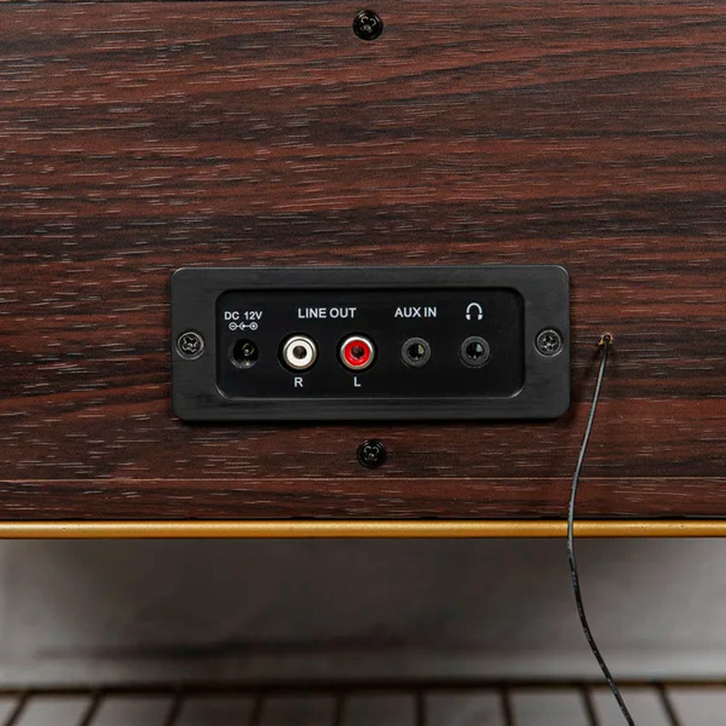 Rhapsody Decorative Record Player