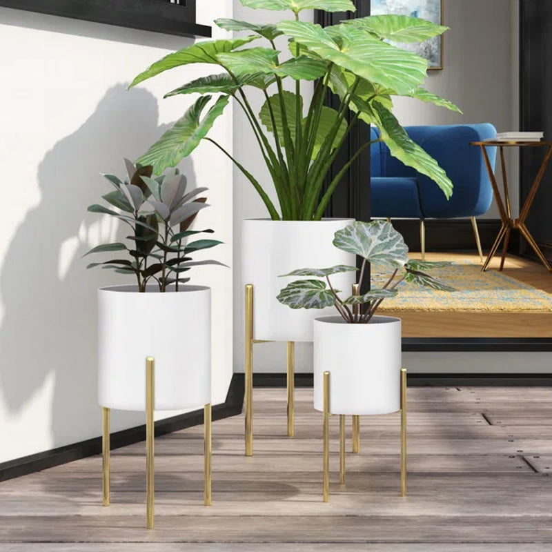 Persinger 3 - Piece 100% Iron Pot Planter
