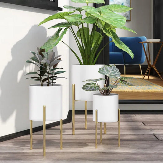 Persinger 3 - Piece 100% Iron Pot Planter