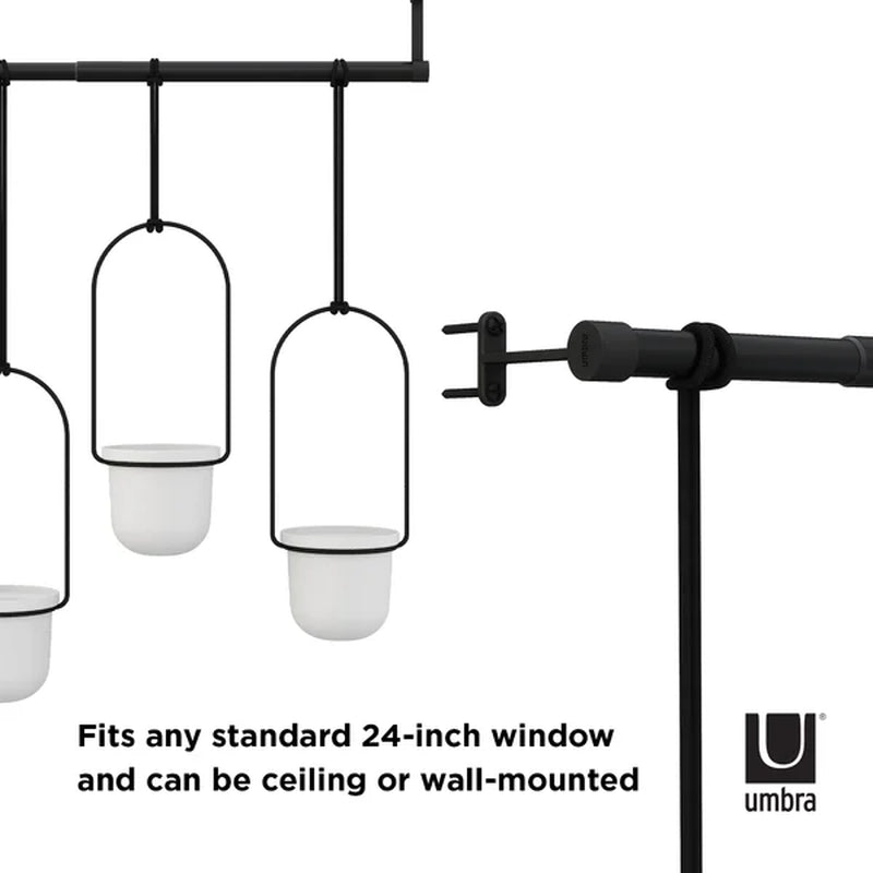 Triflora 3-Piece Hanging Planter