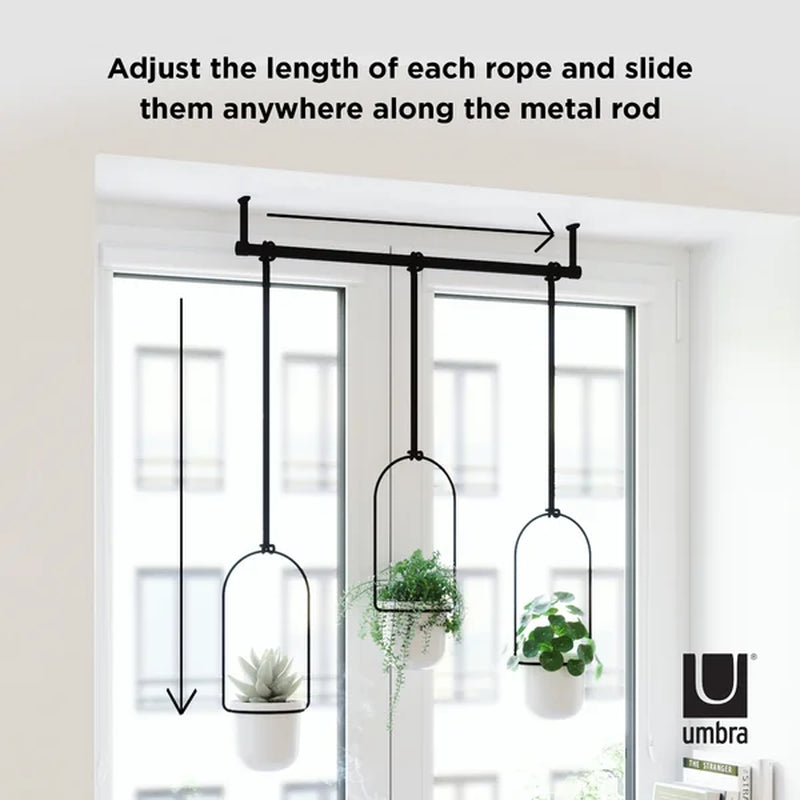 Triflora 3-Piece Hanging Planter