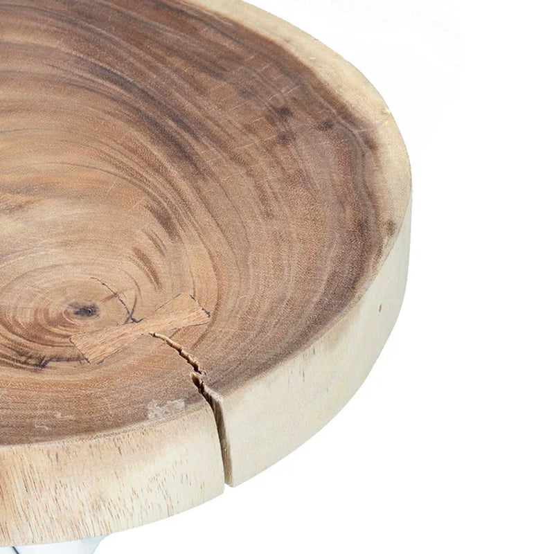 Selah 20'' Tall Solid Wood Tree Stump End Table
