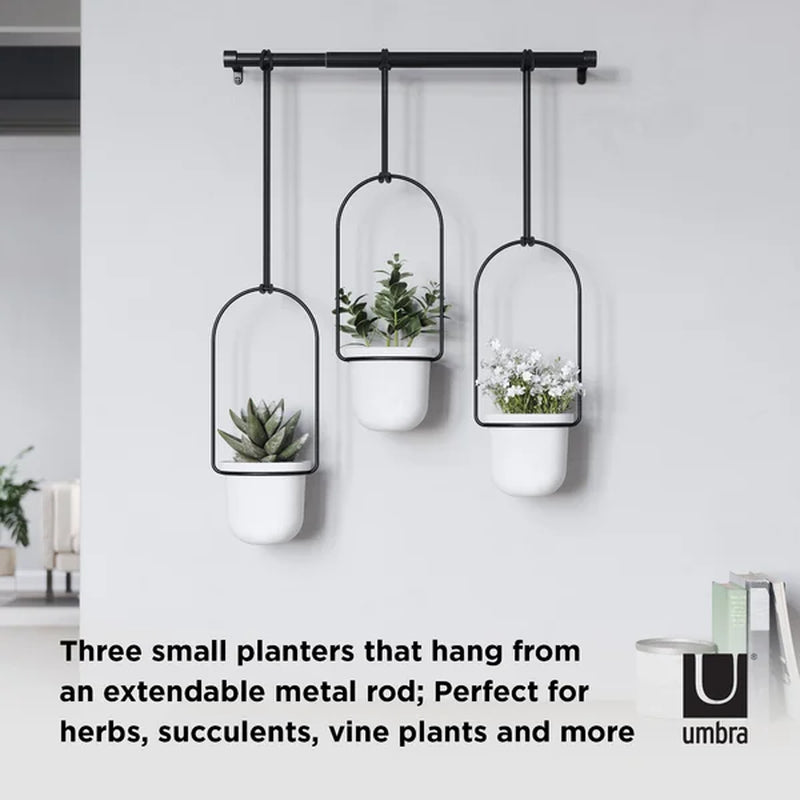 Triflora 3-Piece Hanging Planter